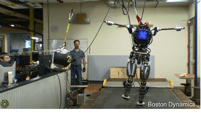 teach them to balance, they said